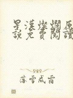 星汉灿烂原著小说免费阅读