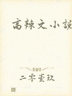 高辣文小说