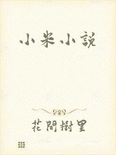 小米小说