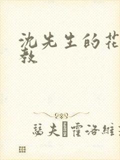 沈先生的花式管教