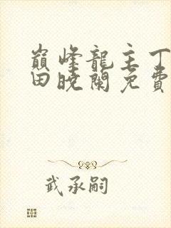 巅峰龙主丁长顺田晓兰免费阅读