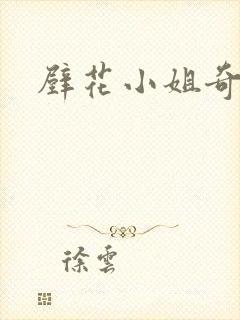 壁花小姐奇遇记