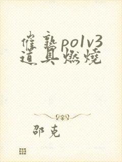 催熟po1v3道具燃烧封面