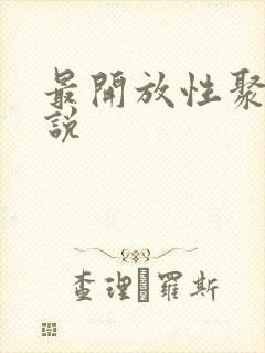 最开放性聚会小说