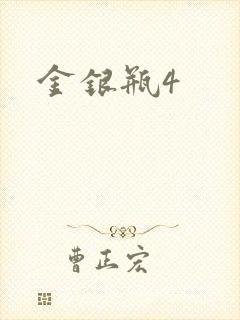 金银瓶4封面