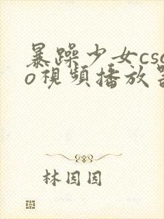 暴躁少女csgo视频播放器推荐