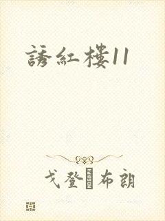 诱红楼11