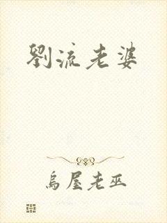 刘流老婆封面