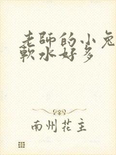 老师的小兔子好软水好多封面