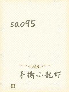 sao95封面