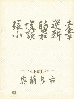 张俊的逆袭之路小说最新章节