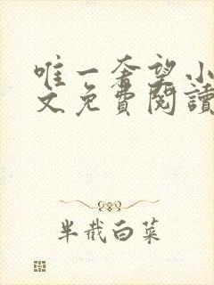 唯一奢望小说全文免费阅读