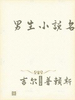 男生小说名字