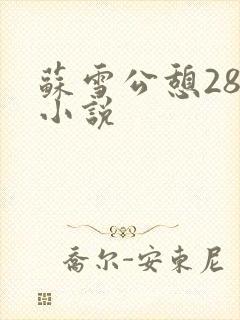 苏雪公憩28篇小说