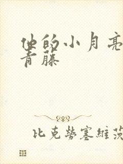 他的小月亮by青藤