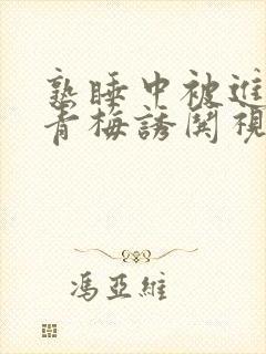 熟睡中被进了H青梅诱哄视频