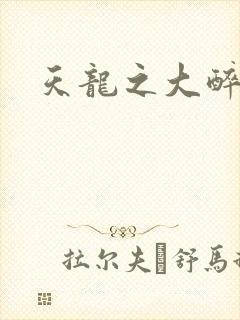 天龙之大醉侠