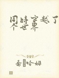 同时穿越了99个世界