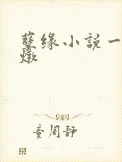 孽缘小说一家乱炖封面