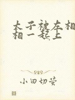 太子被左相和右相一起上