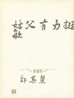 姑父有力挺送赵敏封面