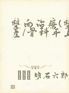 双向治疗(双/产/骨科年上)