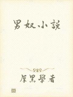 男奴小说