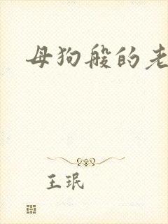 母狗般的老师封面