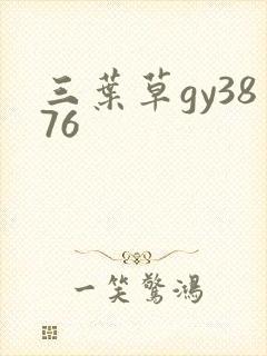 三叶草gy3876封面