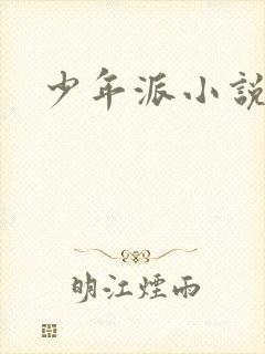 少年派小说