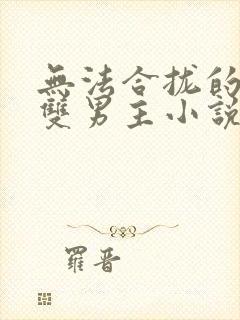 无法合拢的总裁双男主小说