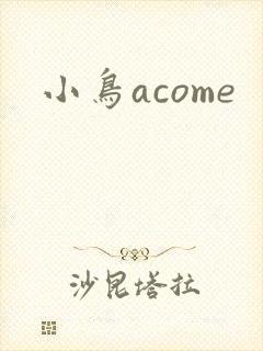 小鸟acome封面