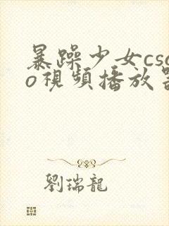 暴躁少女csgo视频播放器推荐