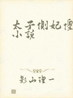 太子侧妃傻乎乎小说