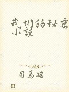 我们的秘密泰剧小说