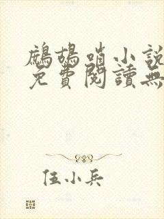 鹧鸪哨小说网站免费阅读无弹窗