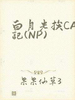 白月光挨CAO记(NP)