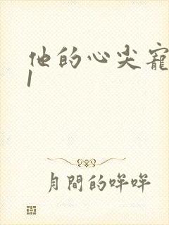 他的心尖宠1v1