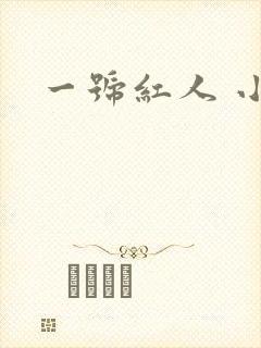 一号红人 小说