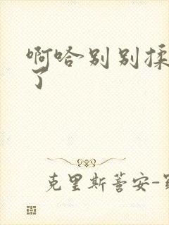 啊哈别别揉那处了封面