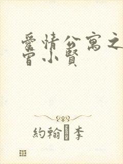 爱情公寓之极品曾小贤