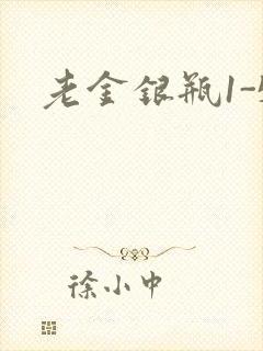 老金银瓶1-5封面