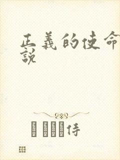 正义的使命 小说