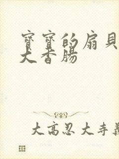 宝宝的扇贝想吃大香肠