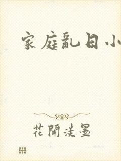 家庭乱日小说封面