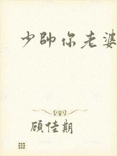 少帅你老婆封面