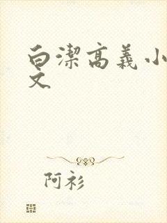 白洁高义小说全文