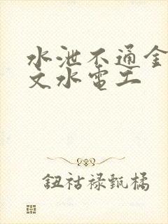 水泄不通金银原文水电工