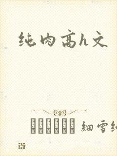 纯肉高h文
