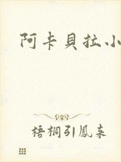 阿卡贝拉小说封面